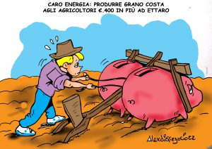 grano