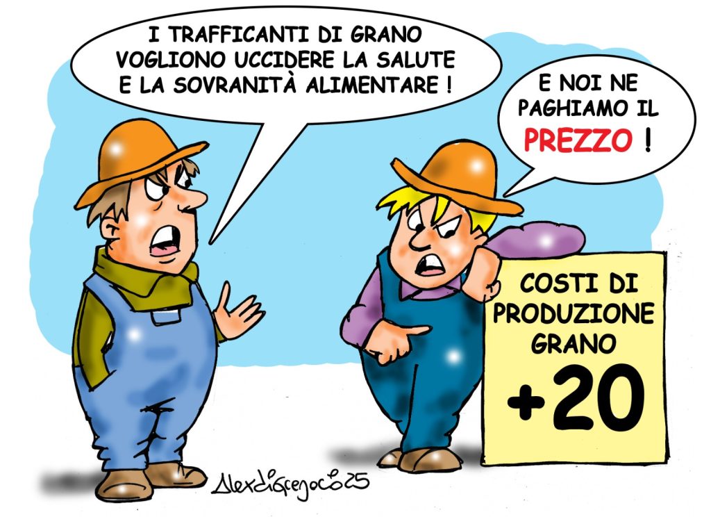 Grano