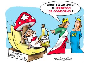 grano canadese